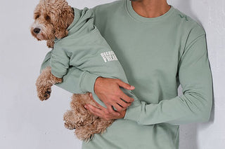 Qsimple  %100 Organik Pamuklu Köpek Hoodie ve Sweatshirt Kombin