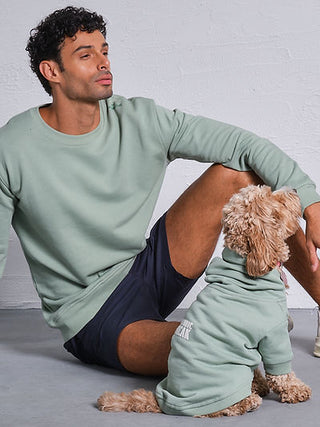 Qsimple Dog Hoodie 100% Organic Cotton