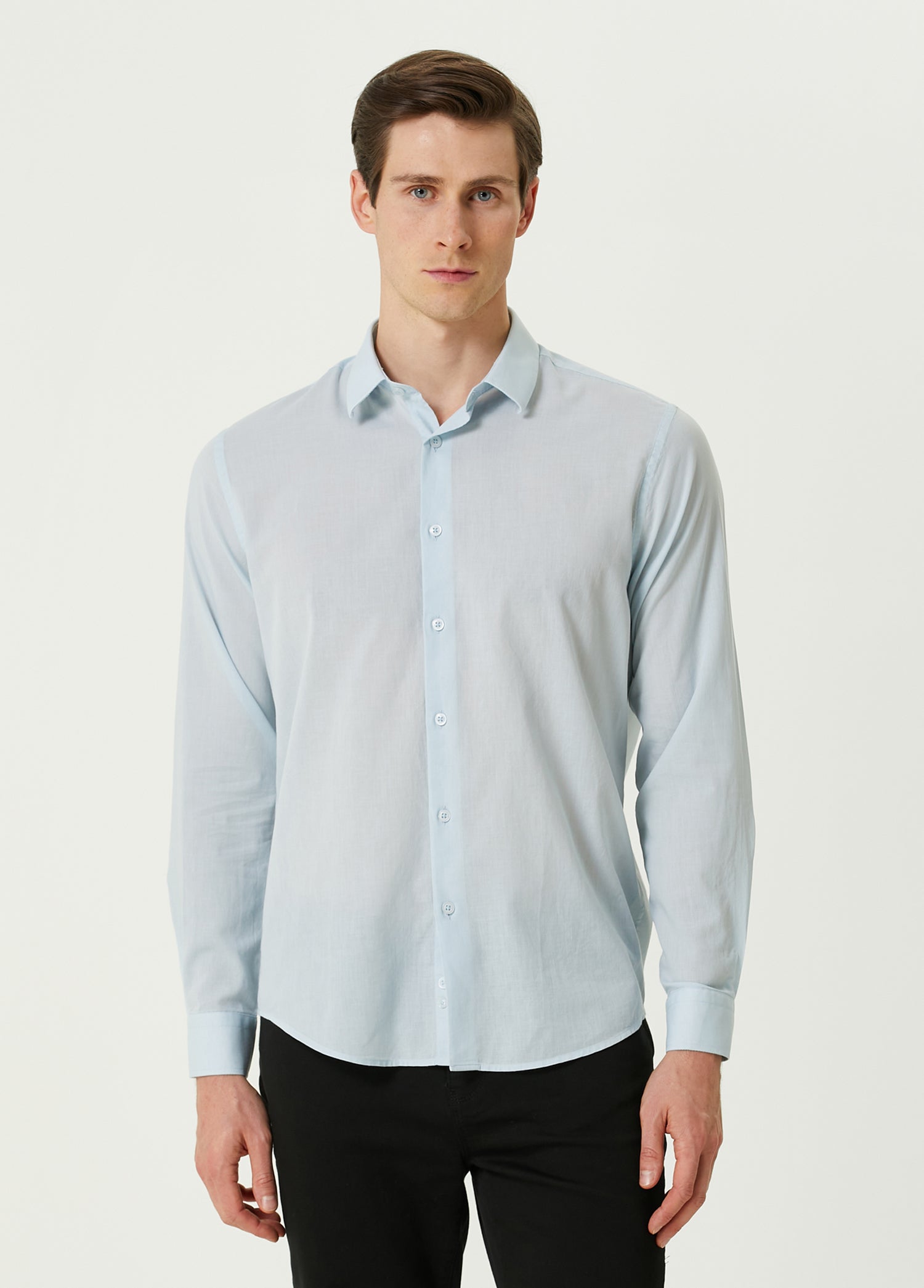 botqoq rang kombinatsiyasi Eshak suratda uchta sik